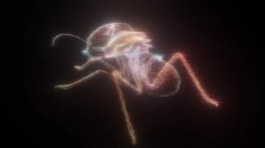 Termit 3D Tarayıcı 4K