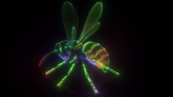 Wasp nebo sršeň digitální hud hologram 4k — Stock video