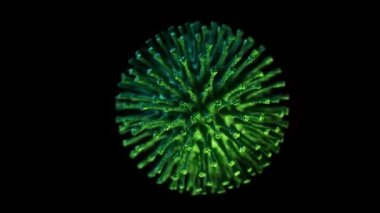 Corona Virüs Ayrıştırma Tedavisi 4k