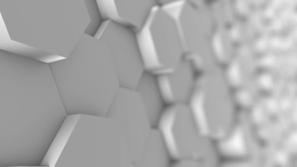 White Honeycomb Style Clean Hexagonal Background 4K — Stock Video