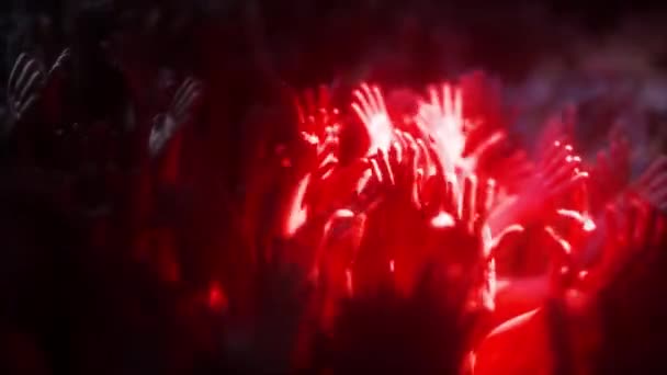 Concert Crowd Hands 4k — Stock Video