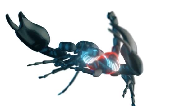 Escorpión en fondo blanco aislado con partículas de animación de cámara de primer plano — Vídeos de Stock