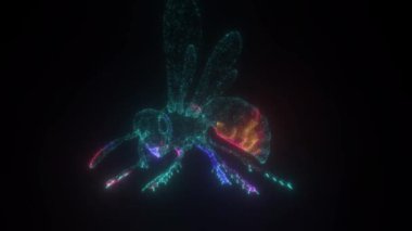Wasp 4k 'ın 3D Hologramı