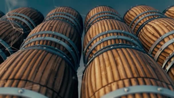 Gestapelte Holzeichen-Whiskey-Wein- oder Bierfässer in Reihen 4k — Stockvideo