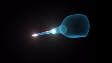 Awl hologramını kaşı Tam Dönen 4k