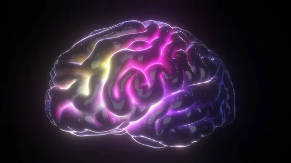 Nöral Ağ Darbeleriyle Beyin Modelinin 3d Hazırlanmış ResmiName