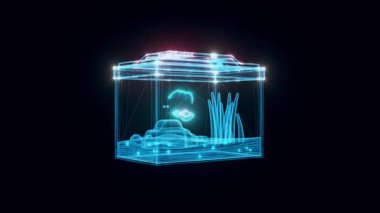 Akvaryum hologramı 4k