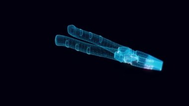 plier hologramı Dönüyor