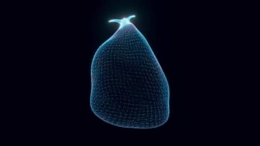 Çöp Torbası hologramı Dönüyor 