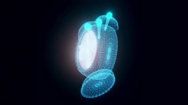 Alarm saati hologramı dönüyor