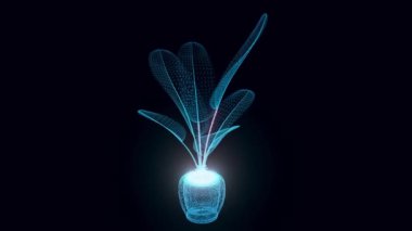 muz bitkisi hologramı Dönüyor