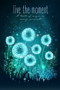 Şaşırtıcı dandelions büyülü gece gökyüzü arka plan, ateş böcekleri ışıkların ile. Olağandışı vektör çizim. Düğün, tarihi, doğum günü, tatil veya Bahçe partisi için ilham kartı 