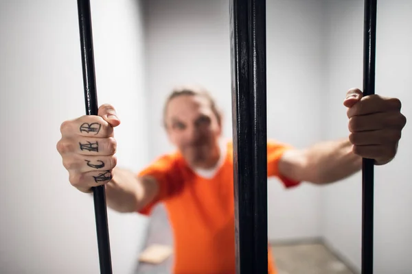 Harsh wild prisoner criminal maniac with tattoos grabs the bars. A close-up portrait in a prison cell. Wide angle shot — Stock Photo, Image