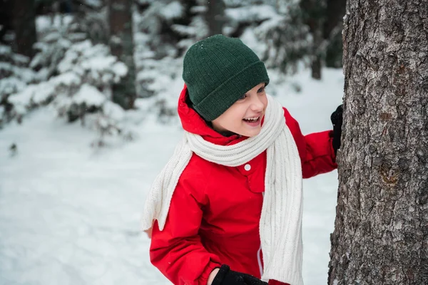 Улыбающийся мальчик зимой прячется за деревом в лесу во время семейных прогулок и игр — стоковое фото