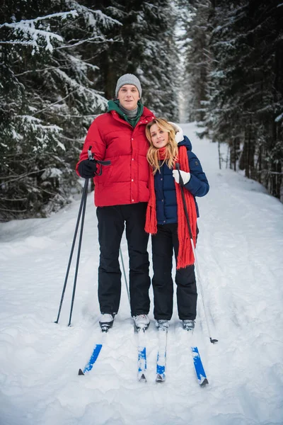 Os recém-casados vão esquiar em um dia frio de inverno na floresta e dão apoio um ao outro. — Fotografia de Stock