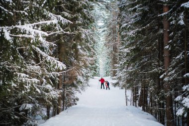 Genç bir çift kayak yapmak için şehirden çıkıp ormana gitti.