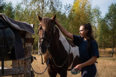 Sıcak bir sonbahar sabahında, bir binici tarladan geçmeden önce atını yıkar.