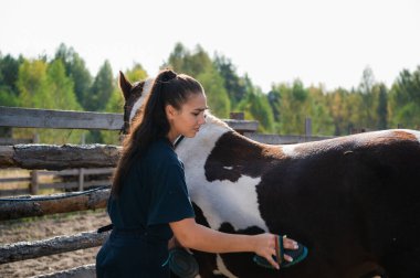 Özel bir fırçanın yardımıyla, damat-kız yazın çiftlikte atı tarar.