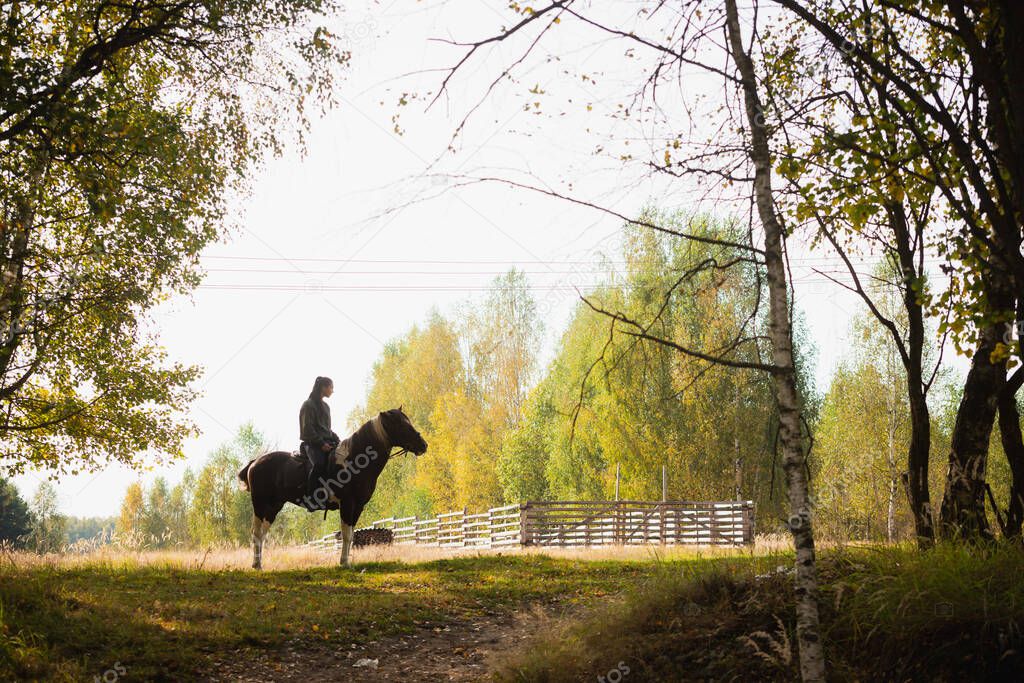 Silhouette of a rider on a horse against the background of an autumn forest
