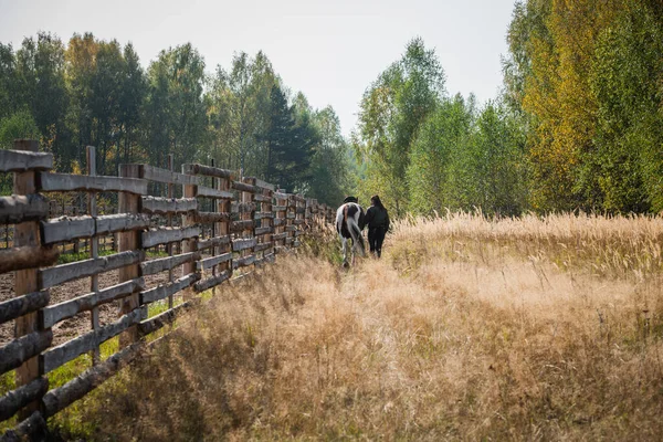 Sobre el fondo de un hermoso paisaje del pueblo de otoño, una niña y su majestuoso paseo a caballo — Foto de Stock