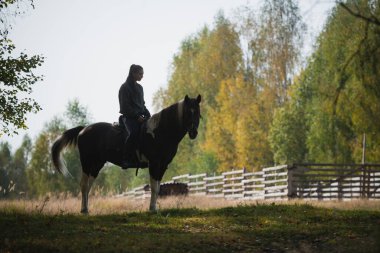 Bir güz ormanının arka planında at üstündeki bir binicinin silueti