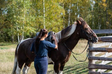 Genç bir çiftlik işçisi bir ata bakar ve ahırın yanındaki temiz havada temizler.