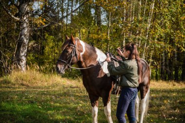 Genç bir kız ata binmek için güzel bir atı çitlere bağladı.