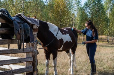Çiftlikte, tarama zamanında, bir kız atlarını sonbaharda otlakta fırçalar.