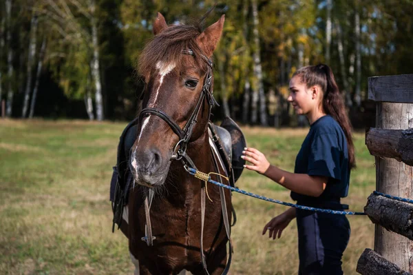 Ensillar una hermosa yegua en un rancho muestra a un joven dueño de un caballo — Foto de Stock