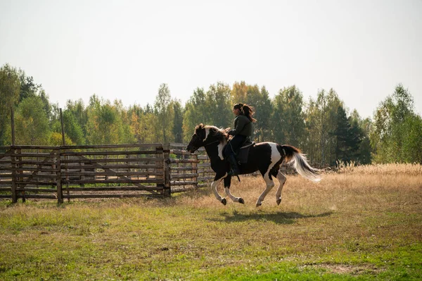 Paseo a caballo de una joven en lugares con hermosos paisajes de otoño — Foto de Stock