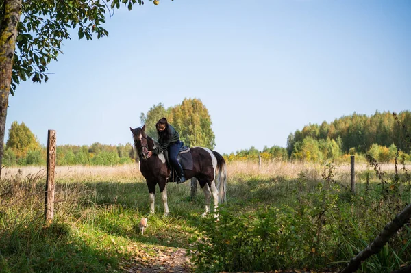 Ένα όμορφο κορίτσι ήρθε στο ιππικό σύλλογο της επαρχίας και καβαλάει ένα άλογο μέσα από τα χωράφια το φθινόπωρο. — Φωτογραφία Αρχείου