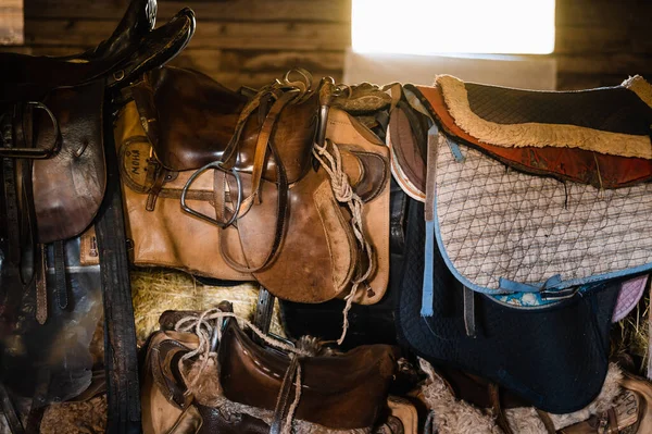 Šatní koňské výstroje, kožená sedla a třmeny krásně visí na speciální stěně — Stock fotografie