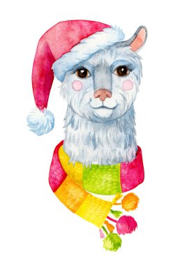 Şapkalı bir lama. Noel kartı. Beyaz arkaplanda izole suluboya çizimi.