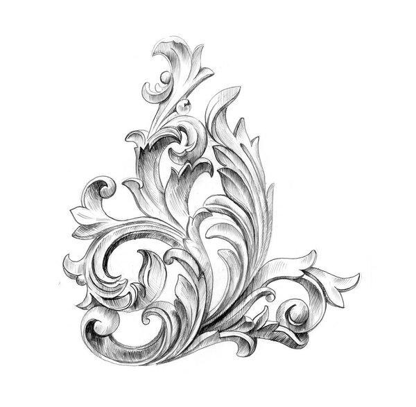 Декоративный элемент Acanthus изолирован на белом фоне. Рисунок карандаша.
