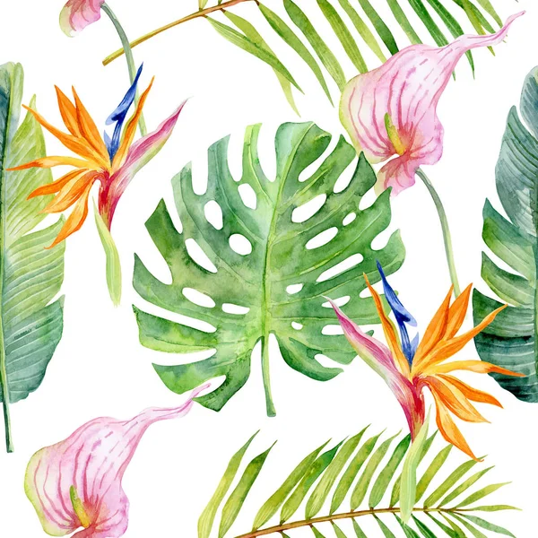 Suluboya Egzotik Çiçekli Orman Yapraklı Pürüzsüz Bir Arka Plan Botanik — Stok fotoğraf