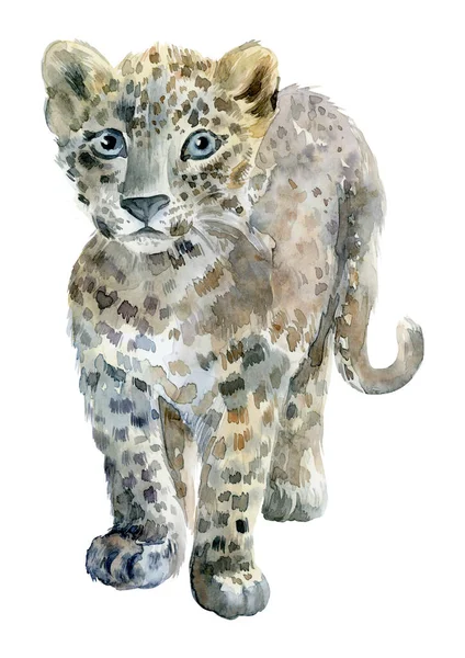 Kézzel Festett Akvarell Baba Vad Macska Leopard Elszigetelt Fehér Háttér — Stock Fotó