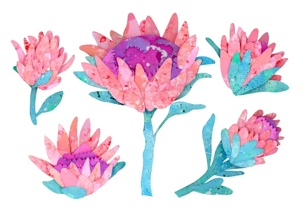 Papier Artisanal Protéa Fleurs Illustration Florale Lumineuse — Photo