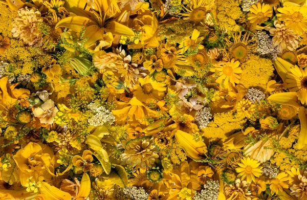 Composição Flores Amarelas Fundo Amarelo Floral — Fotografia de Stock