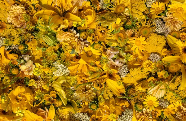 Gul Blommor Sammansättningbakgrund Gul Blommor — Stockfoto