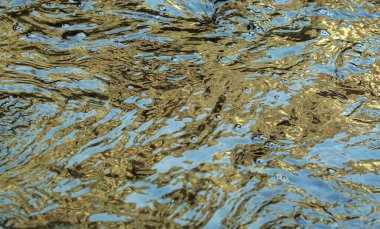 Açık mavi ve altın güneş ışığında suya yansıyor. Seçici odak.