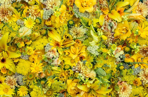 Διαφορετικό φόντο κίτρινα λουλούδια, πάνω όψη. Φυσικό περιβάλλον. — Φωτογραφία Αρχείου