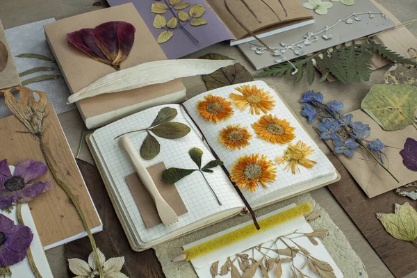 Verschiedene Trockene Blumen Mit Notizbüchern Auf Dem Tisch — Stockfoto
