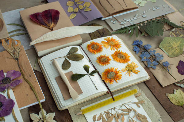 Different dry flowers with notebooks on the table.