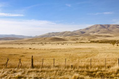 Neuquen, Arjantin 'de, And Dağları yakınlarındaki Patagonya bozkırı..