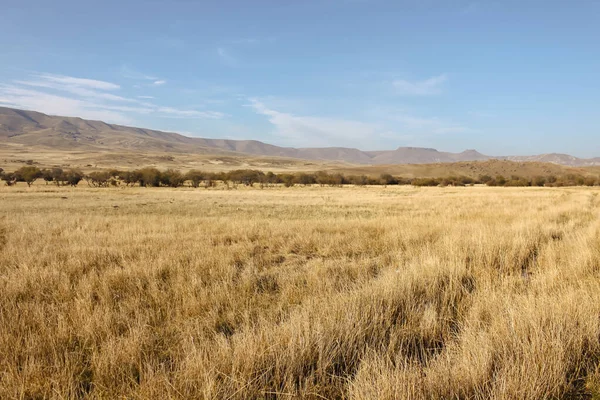 Patagonische Steppe Neuquen Argentinië Vlakbij Andes — Stockfoto