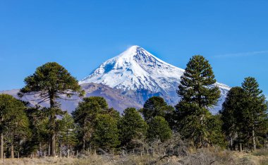 Arjantin, Neuquen 'deki Tromen Gölü' ne giden Lanin Volkanı manzarası.