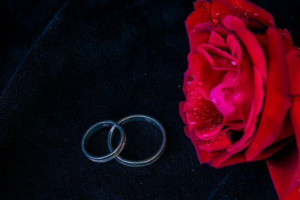 Rosa Roja Con Gotas Agua Regalo Anillos Boda Una Caja — Foto de Stock