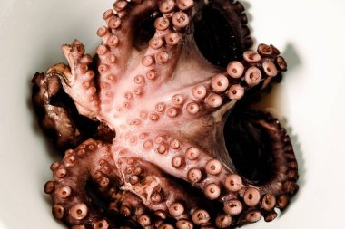 Beyaz bir yüzeyde haşlanmış ahtapotun yakın çekimi. Doğal gıdalar, deniz ürünleri, etnik yiyecekler.