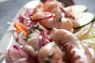 Tipik Peru yemekleri, ceviche. Sunumdaki ürün ve malzemelerin ayrıntıları. Yakın çekim. Etnik gıda konsepti.