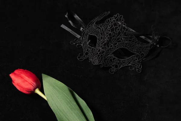 Venetian mask with a red tulip in a dark, suggestively lit environment. Mysterious love concept, San Valentin day.